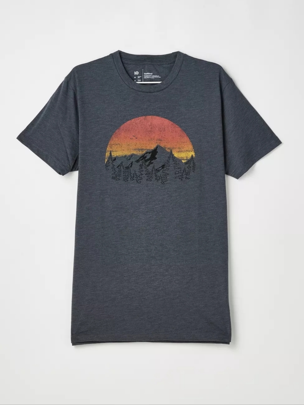 Tentree - Treeblend Vintage Sunset Graphic Tee Men's T-Shirt | Gray Charcoal: XL